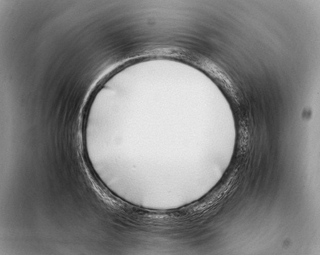 X0000098120792200805021155