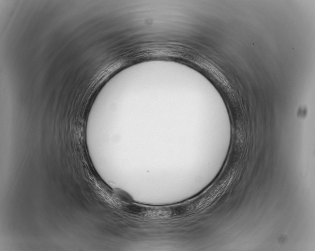 X0000098120793200805021155