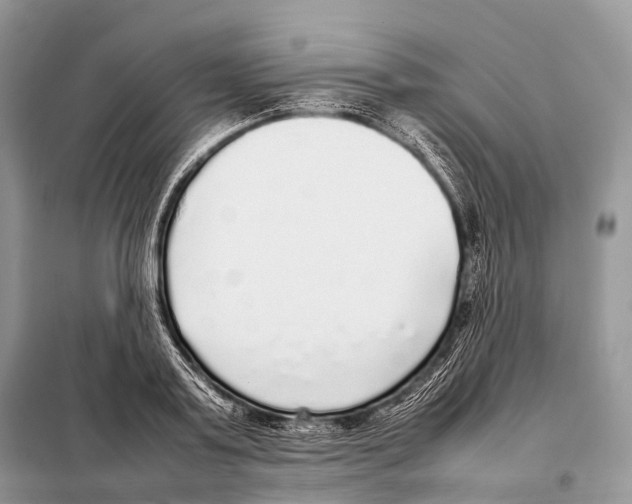 X0000098120795200805021155