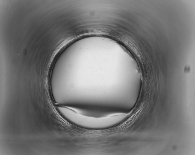 X0000098120797200805021155