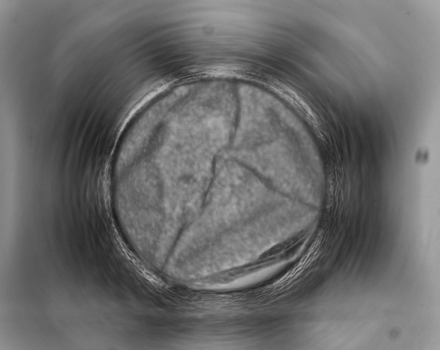 X0000098120798200805021155