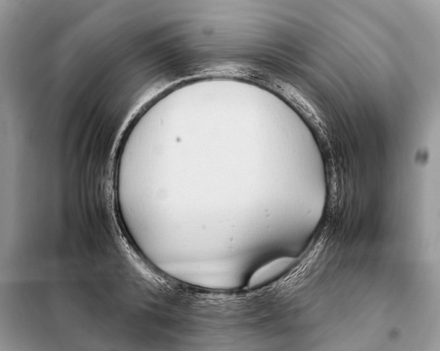 X0000098120800200805021155