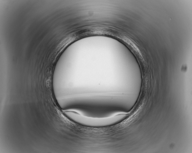 X0000098120801200805021155