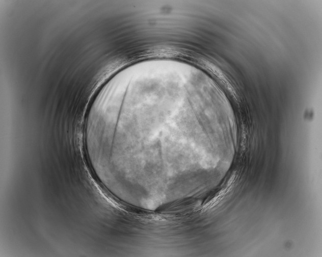 X0000098120802200805021155