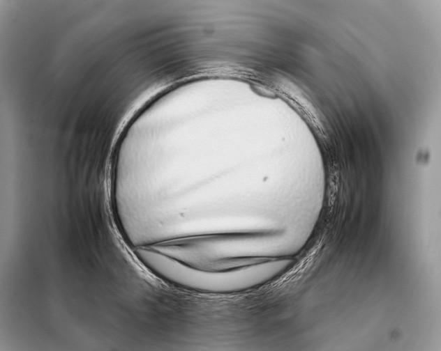 X0000098120804200805021155