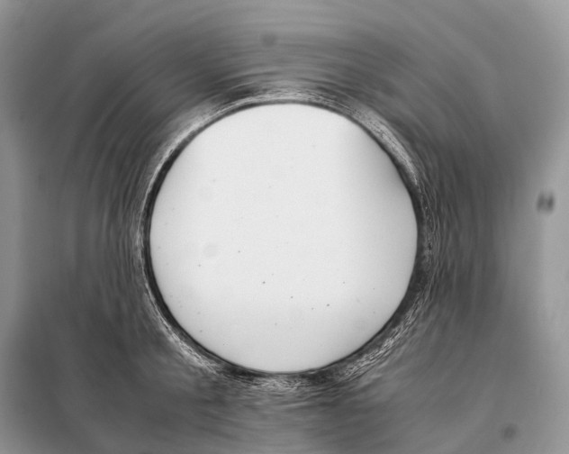 X0000098120805200805021155