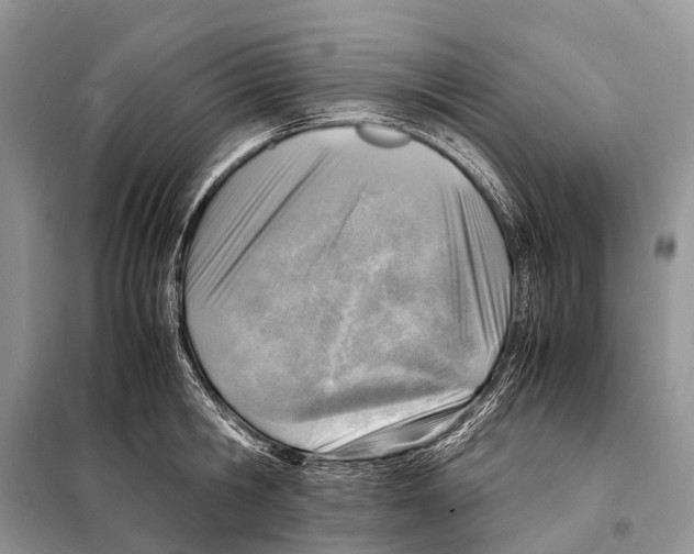 X0000098120806200805021155