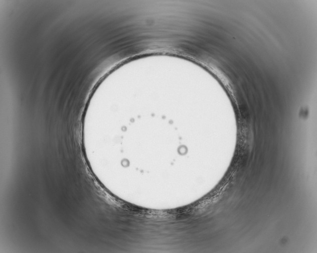 X0000098120807200805021155
