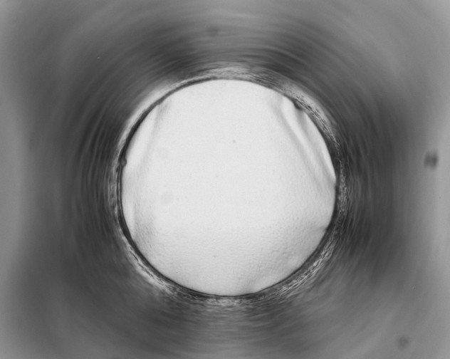 X0000098120808200805021155