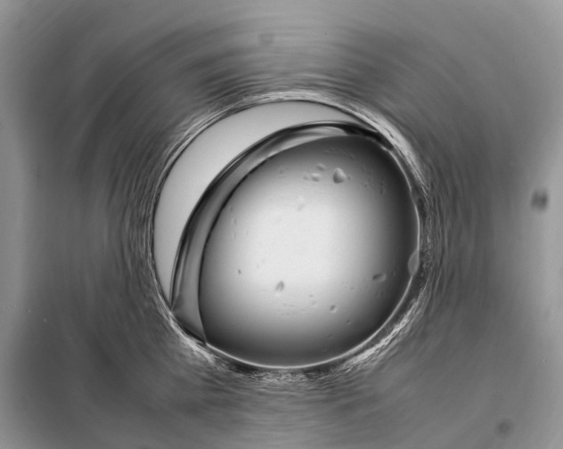 X0000098120809200805021155