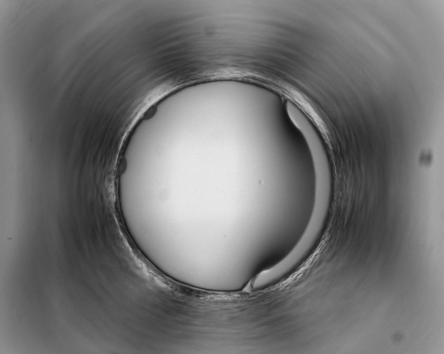 X0000098120810200805021155