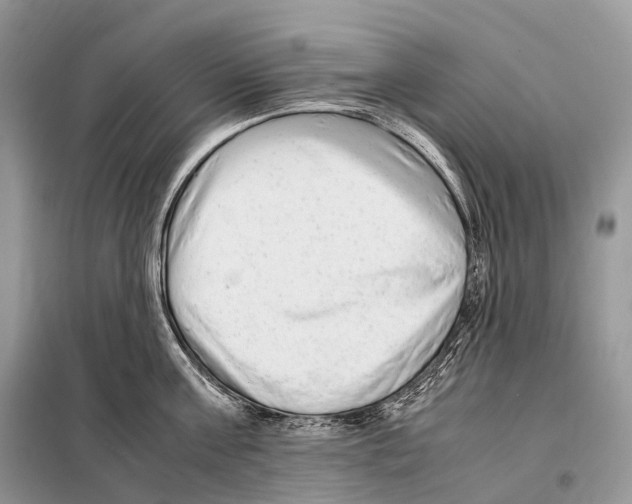 X0000098120811200805021155