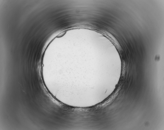 X0000098120812200805021155