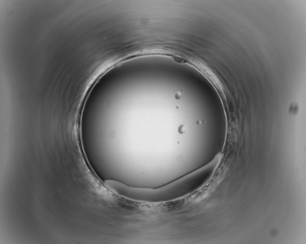 X0000098120813200805021155