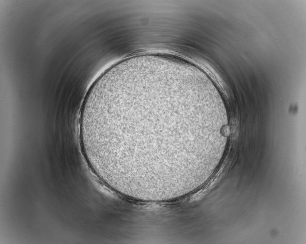 X0000098120814200805021155