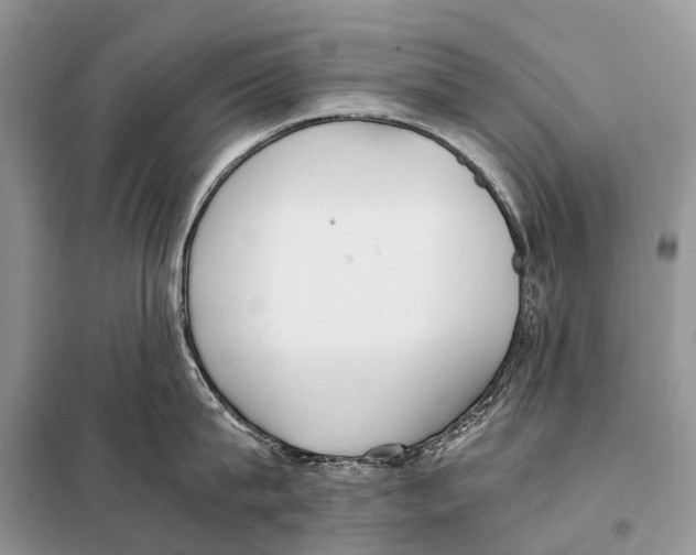 X0000098120815200805021155