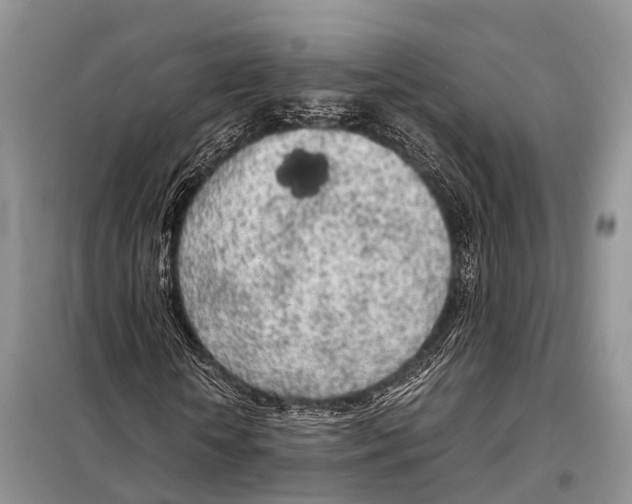 X0000098120818200805021154