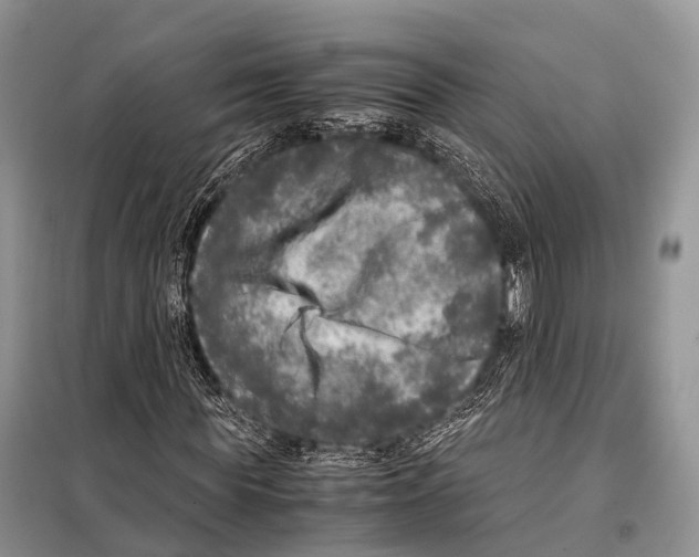 X0000098120819200805021154