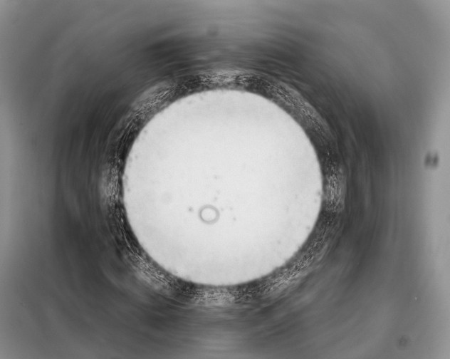 X0000098120820200805021154