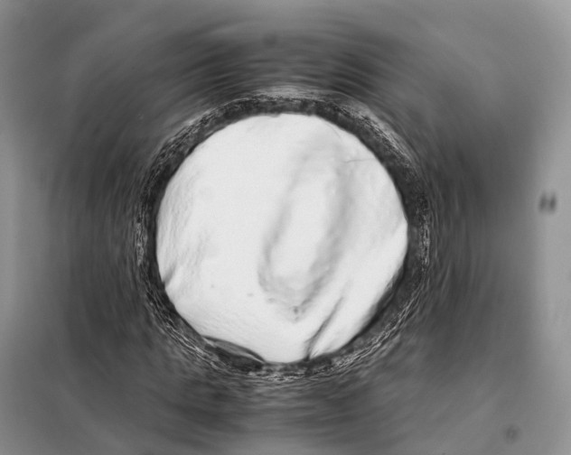 X0000098120821200805021154