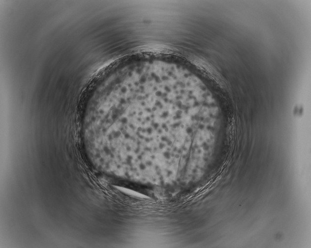 X0000098120822200805021154