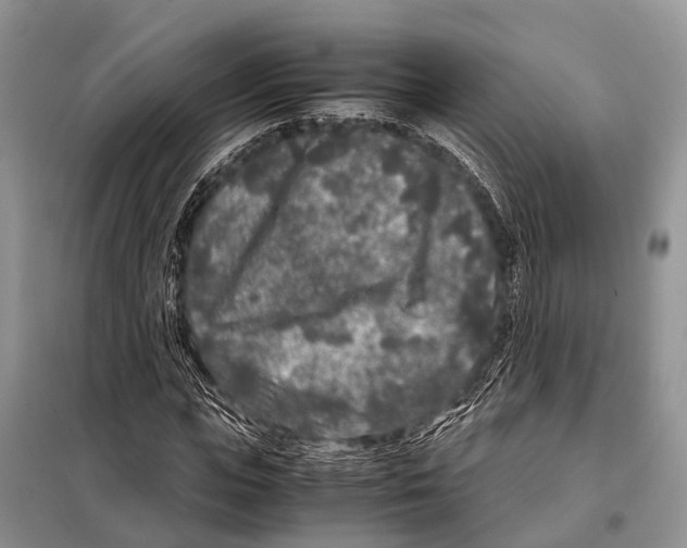 X0000098120823200805021154