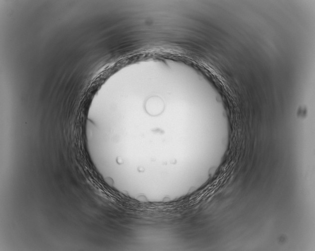 X0000098120824200805021154