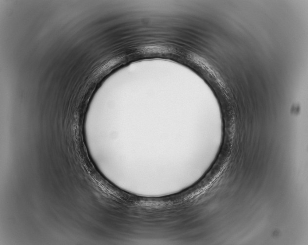 X0000098120825200805021154
