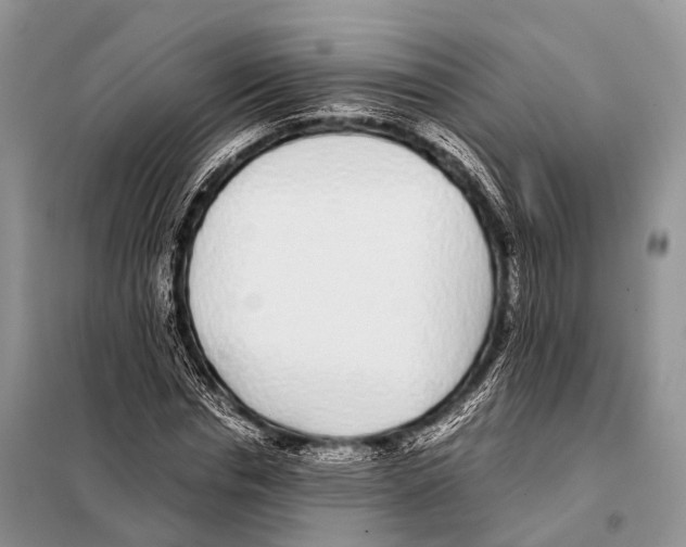 X0000098120826200805021154