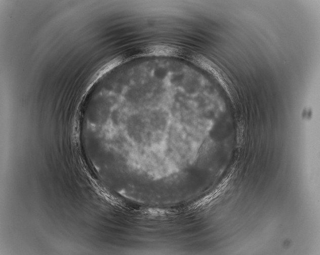X0000098120827200805021154