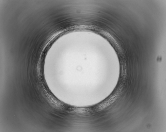 X0000098120828200805021154