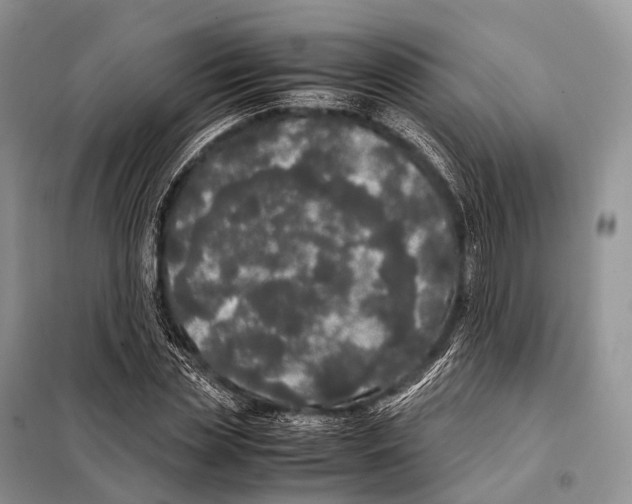X0000098120829200805021154