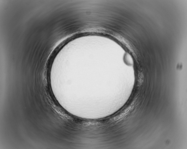 X0000098120830200805021154
