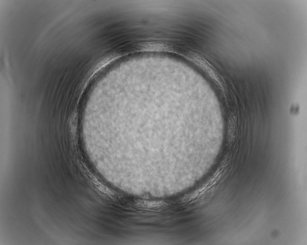 X0000098120831200805021154