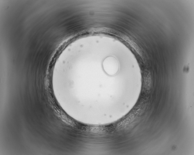 X0000098120832200805021154