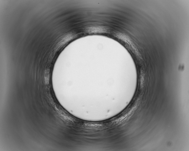 X0000098120833200805021154
