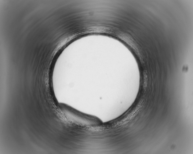 X0000098120834200805021154