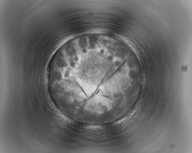 X0000098120835200805021154