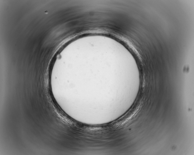 X0000098120837200805021154