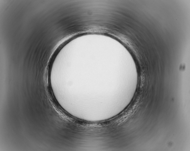 X0000098120838200805021154
