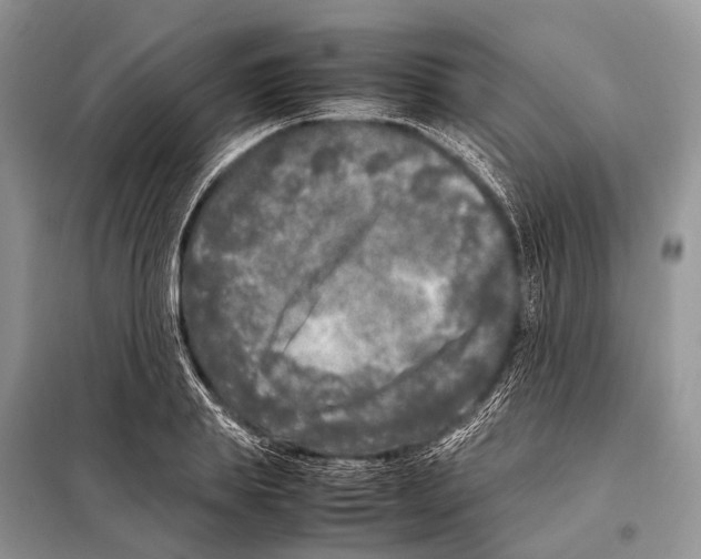 X0000098120839200805021154