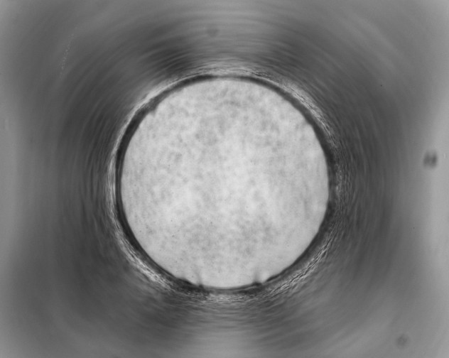 X0000098120840200805021154