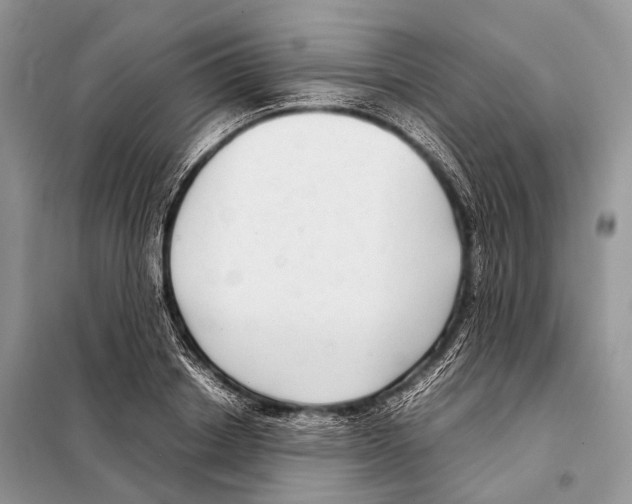 X0000098120842200805021154