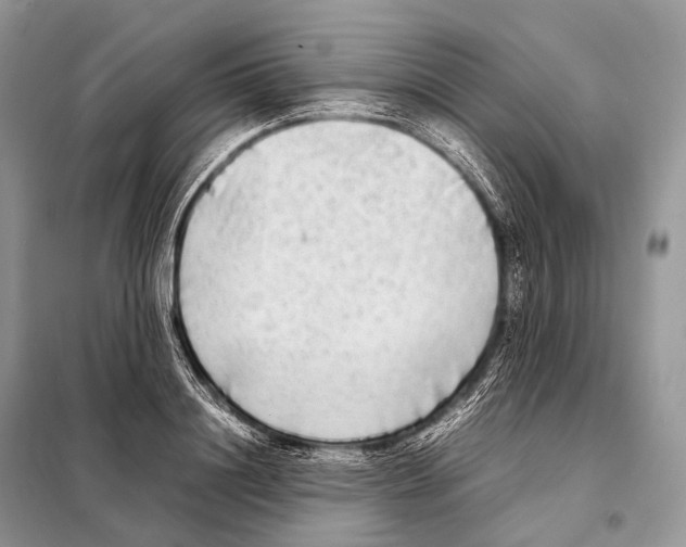 X0000098120844200805021154