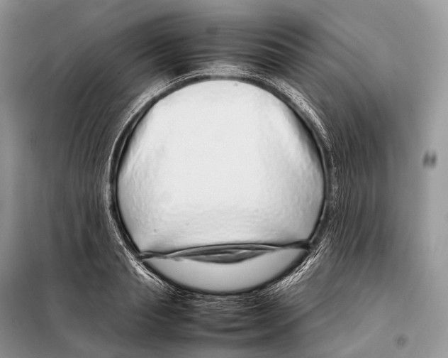 X0000098120845200805021154