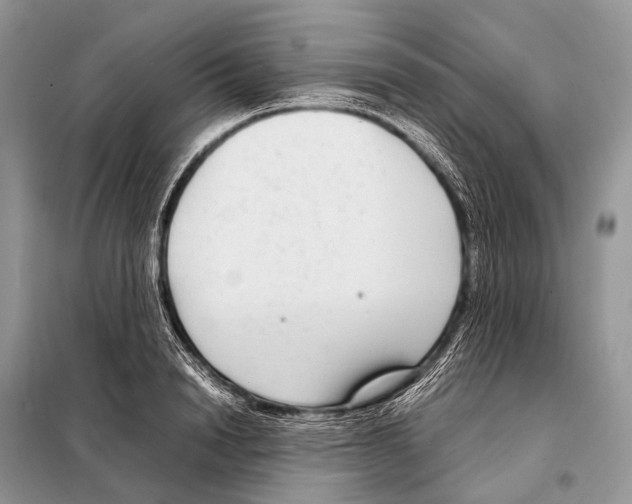 X0000098120846200805021154