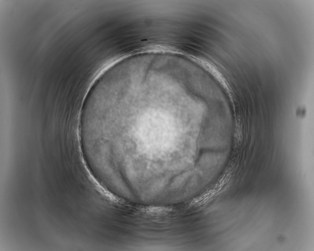 X0000098120847200805021154