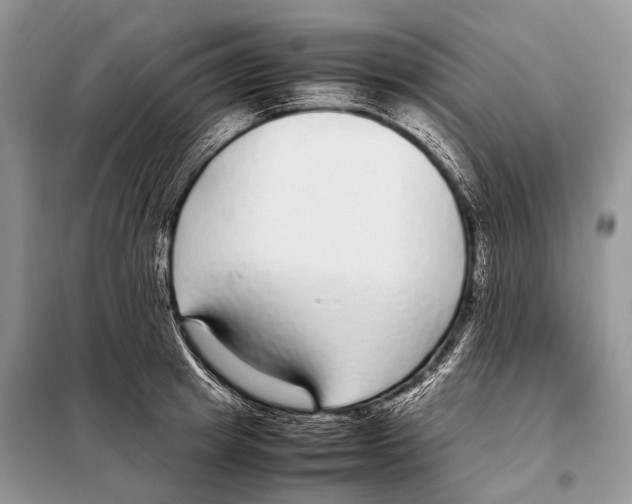 X0000098120849200805021154