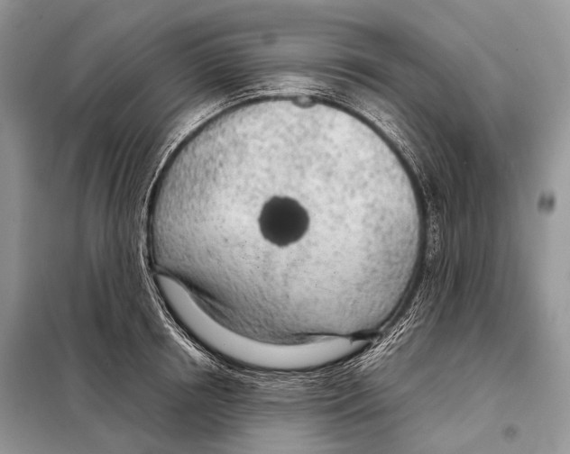 X0000098120850200805021154