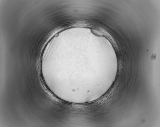 X0000098120852200805021154